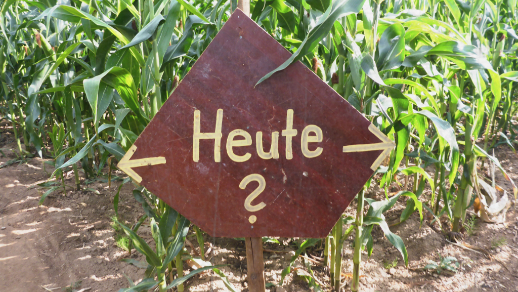 Wie eine Geschichte sich selbst schreibt